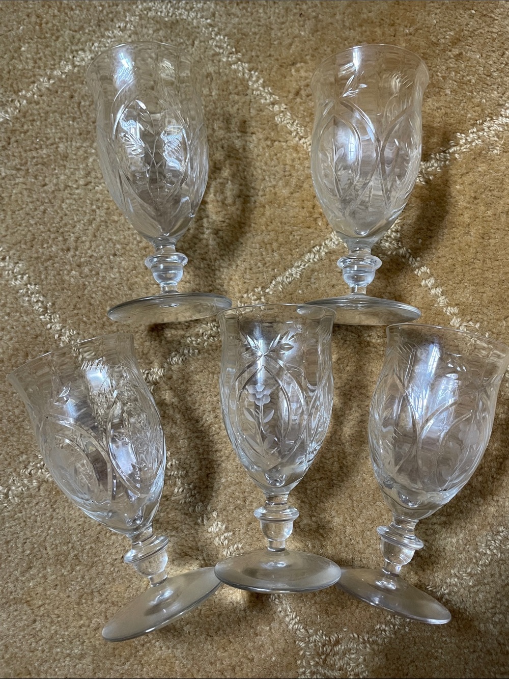 Etched Crystal Goblet Set - Clear Glass Wine Goblets (Set of 5)